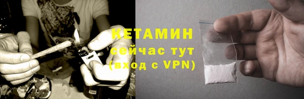 трава Карпинск