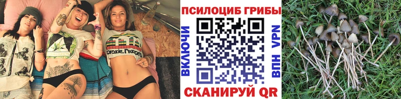 купить   KRAKEN tor  Псилоцибиновые грибы мицелий  мориарти как зайти  Лесосибирск 